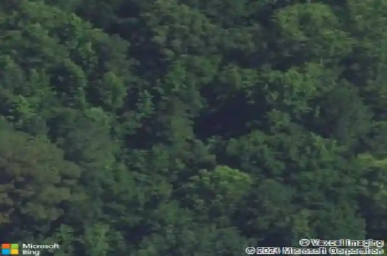 126 moses hall dr, irmo,  SC 29063