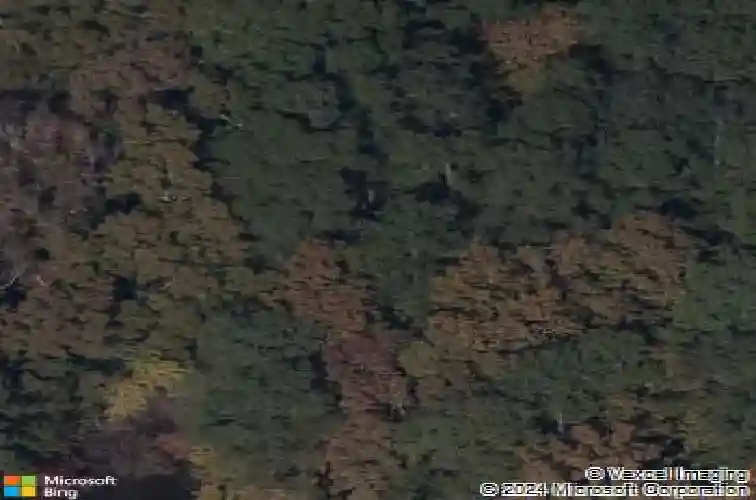 156 runneymede dr, blythewood,  SC 29016