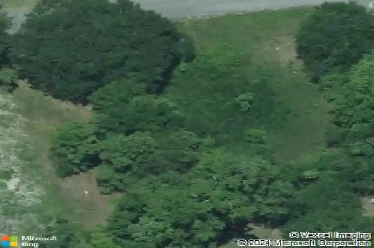 808 dixie ave, columbia,  SC 29203