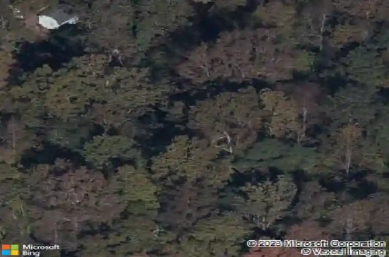 208 winslow way, columbia,  SC 29229