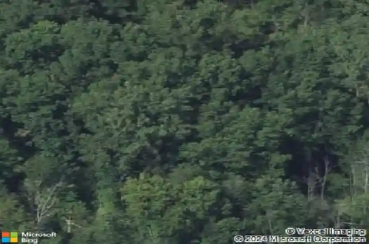 32184 fish hatchery rd, kalamazoo,  MI 49009