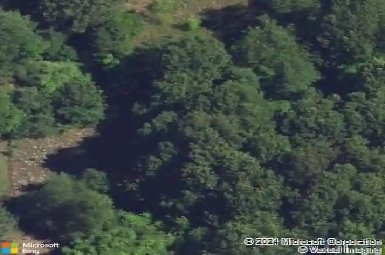 23574 38th ave, mattawan,  MI 49071