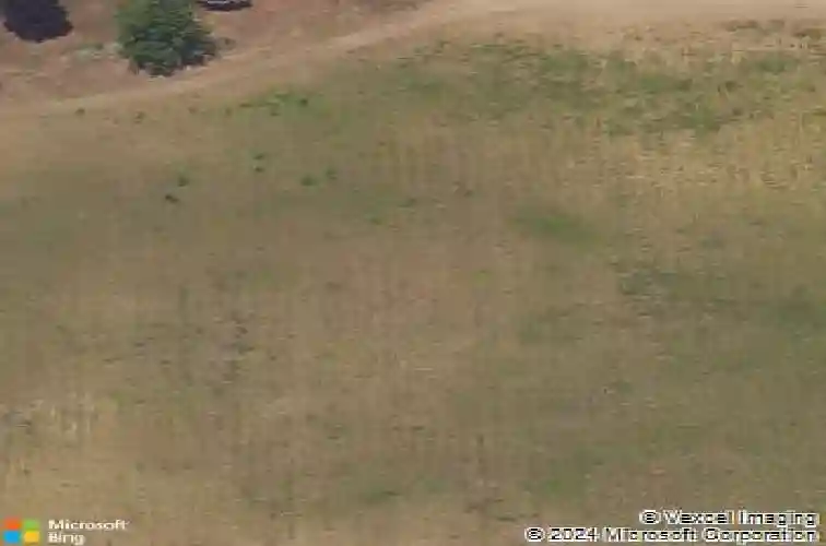 26641 60th ave, mattawan,  MI 49071