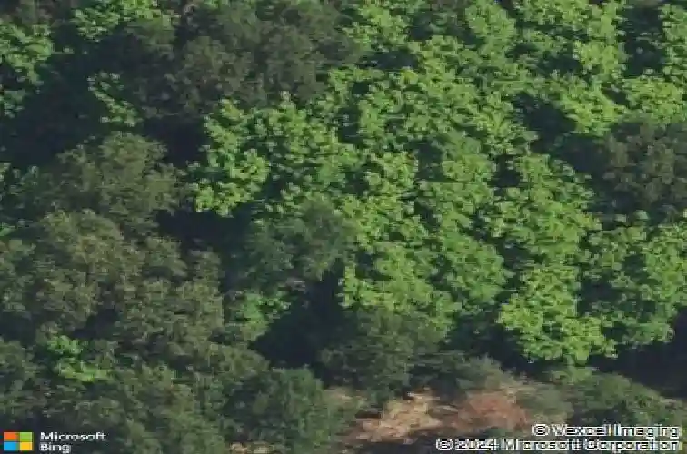 51650 county road 652, mattawan,  MI 49071