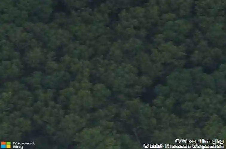 66599 oak ridge dr, lawton,  MI 49065