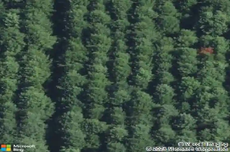 29352 42nd ave, paw paw,  MI 49079