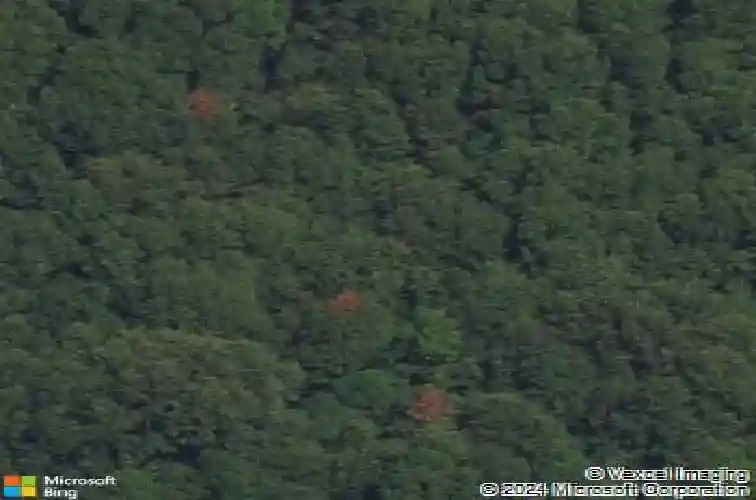 25248 front ave, mattawan,  MI 49071