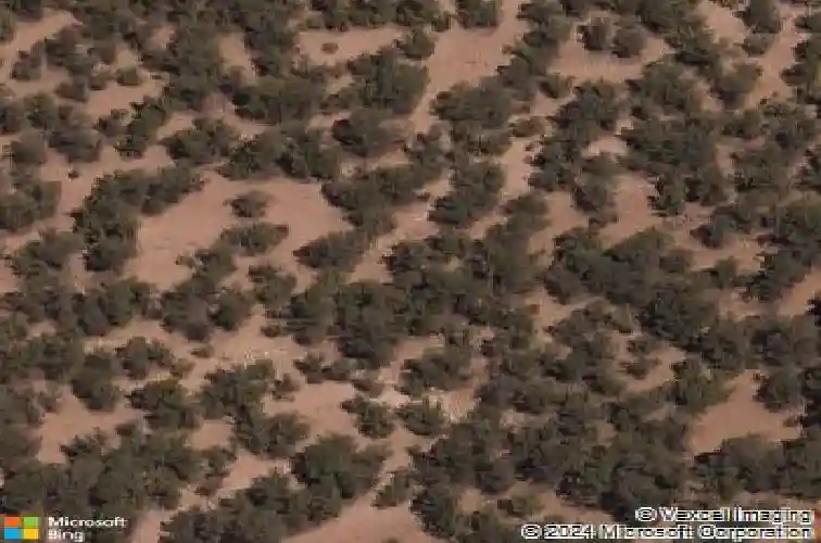 127 barranca rd, santa fe,  NM 87501