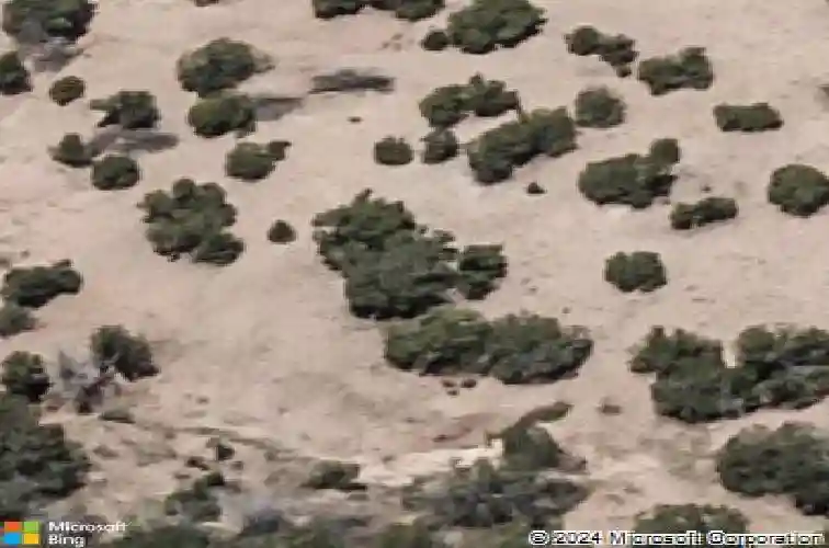 59 calle sinsonte, santa fe,  NM 87507