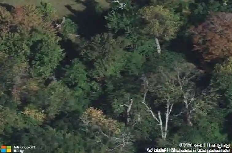 11 tulip tree ln, alpine,  NJ 07620