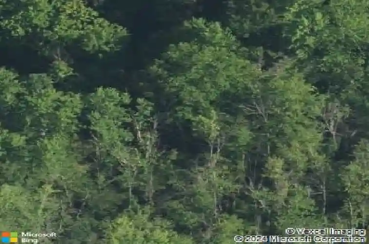 39033 30th st, paw paw,  MI 49079