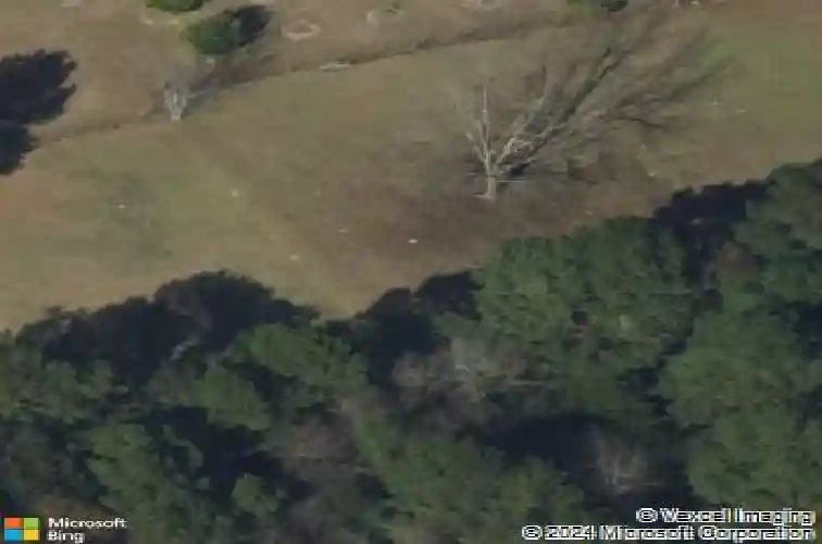 6829 ga highway 17 s, bloomingdale,  GA 31302