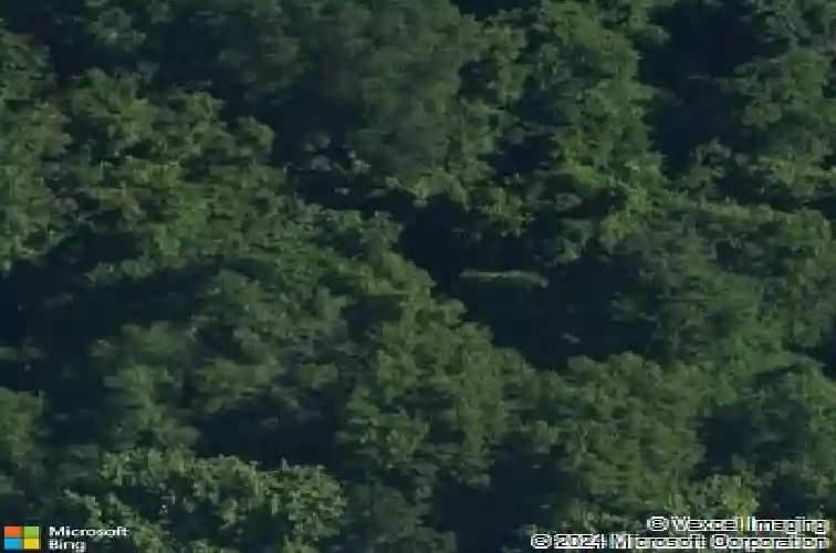 9019 crest dr, fairview heights,  IL 62208