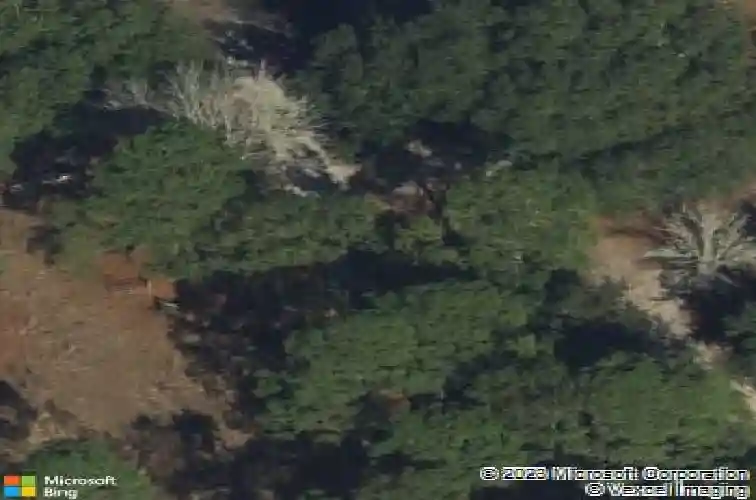 104 maple dr, rincon,  GA 31326