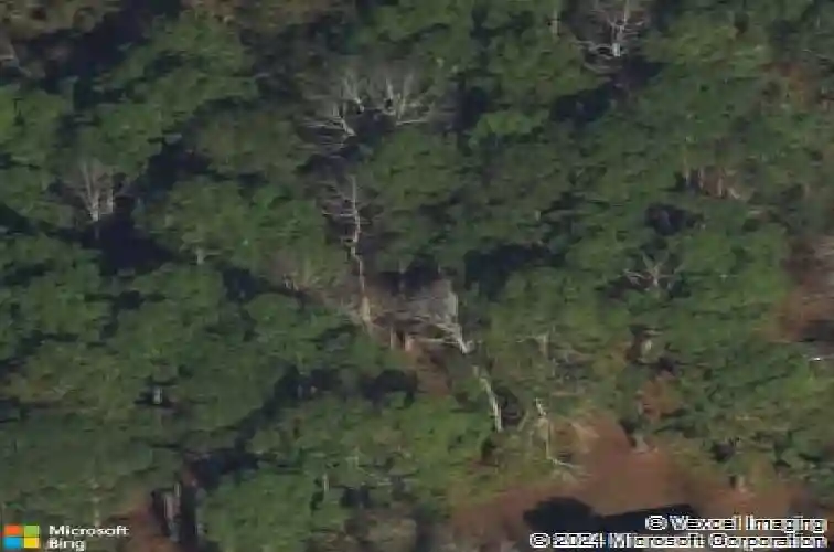 116 oak st, rincon,  GA 31326