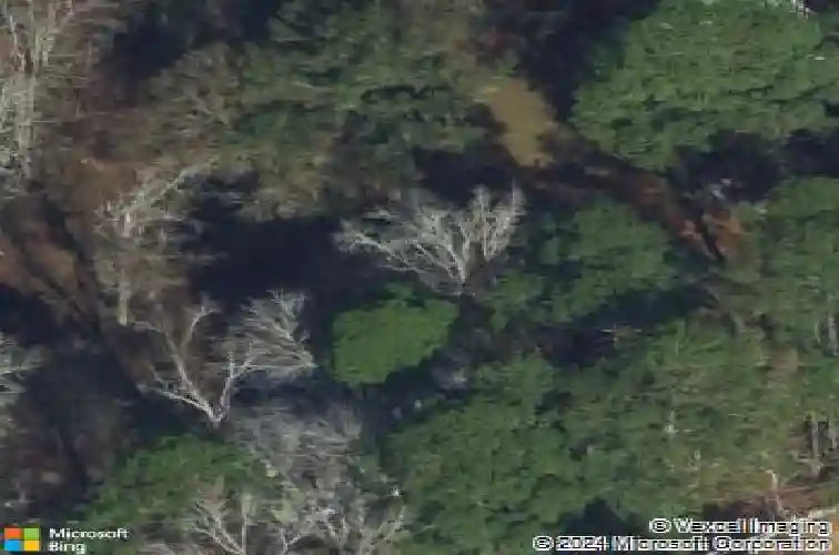 259 zettler loop, guyton,  GA 31312