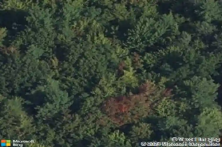 11 snake hill rd, schenectady,  NY 12302