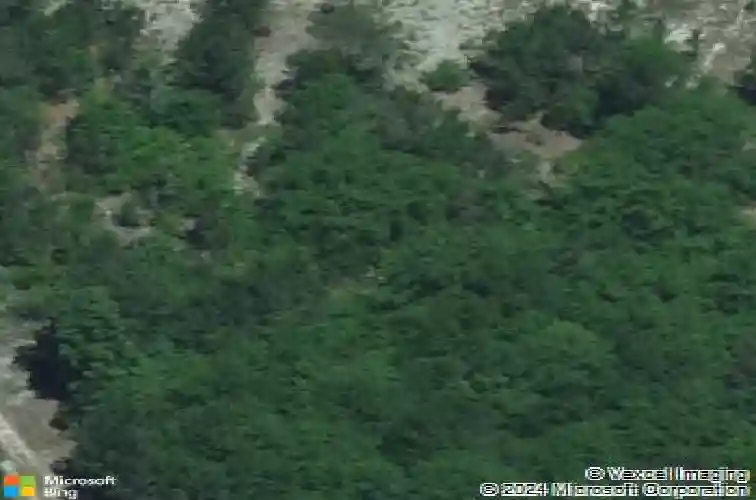 s s toms creek road, hopkins,  SC 29061