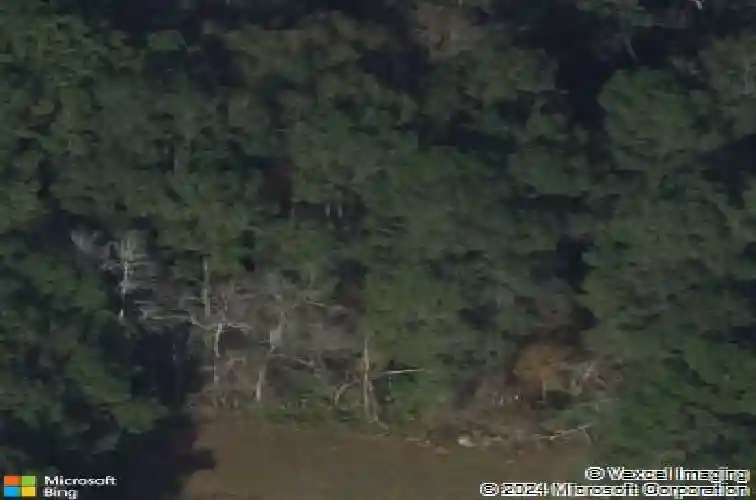 884 zeigler rd, bloomingdale,  GA 31302