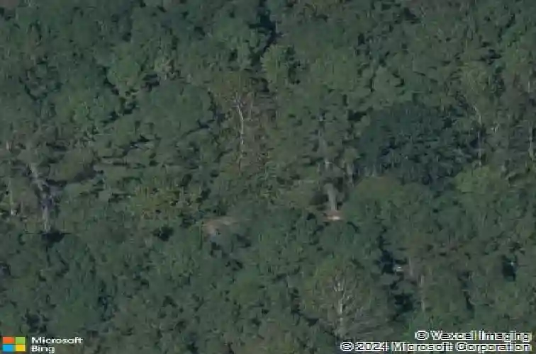 3122 willow creek dr, wake forest,  NC 27587