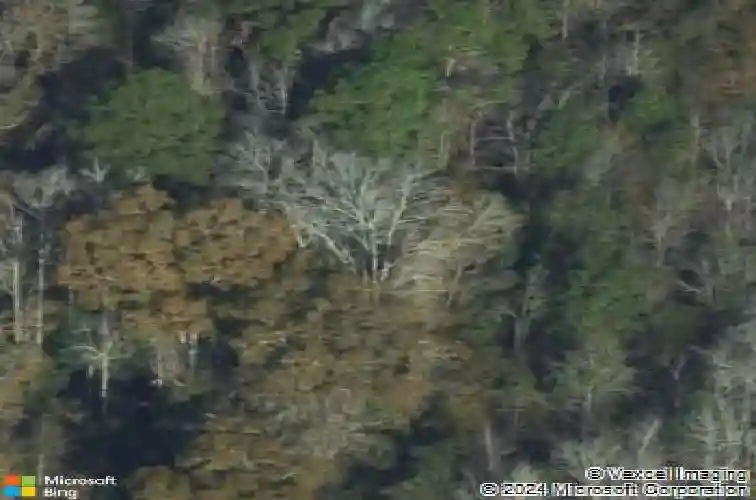 883 zittrouer rd, guyton,  GA 31312