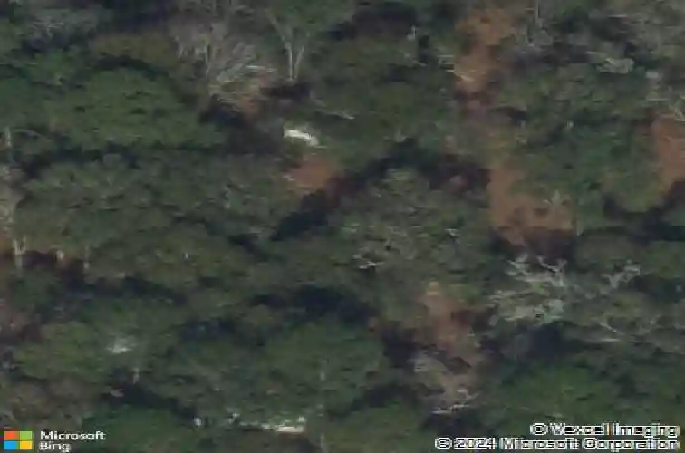 408 shearouse rd, guyton,  GA 31312