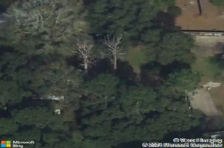 322 hester rd, guyton,  GA 31312