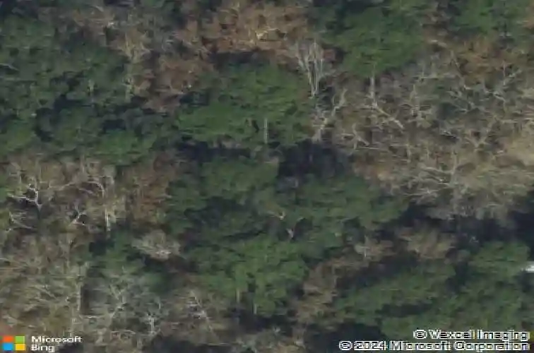 1160 kolic helmey rd, guyton,  GA 31312