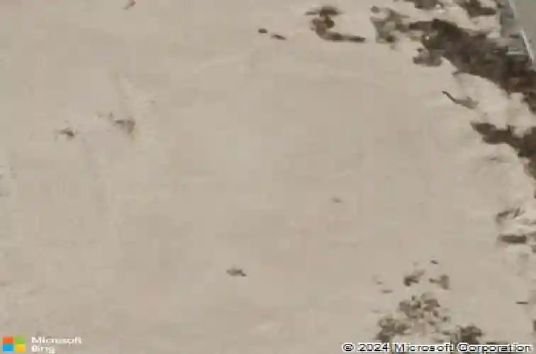  north las vegas,  NV 89031