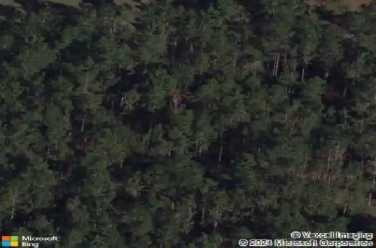 9036 county road 121, wildwood,  FL 34785