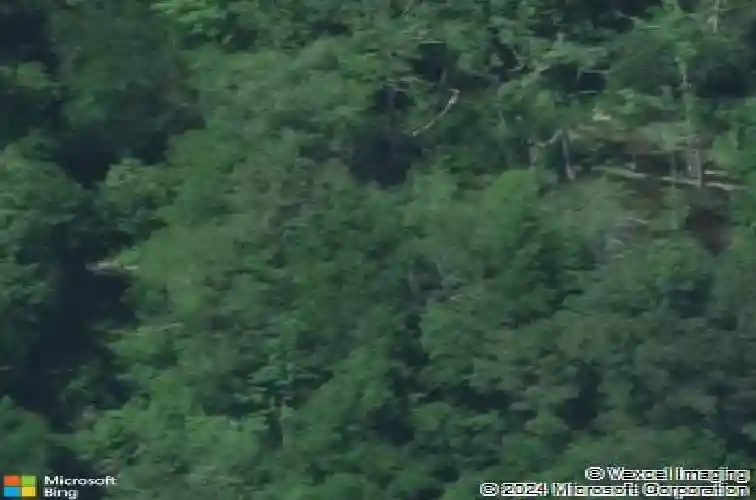 mayhaw drive, columbia,  SC 29206