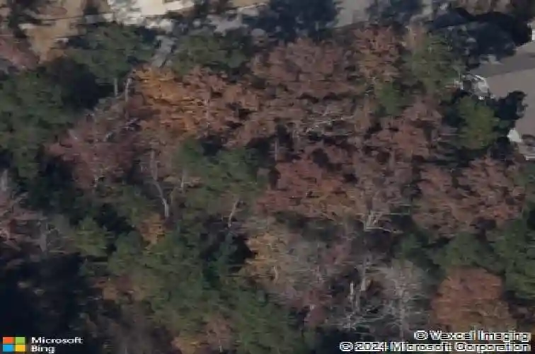 761 carolina aster dr, blythewood,  SC 29016