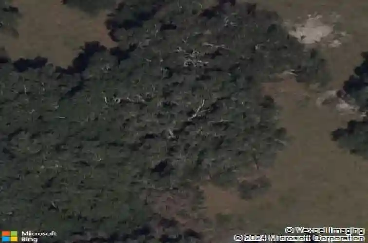 4968 cr 577, center hill,  FL 33514