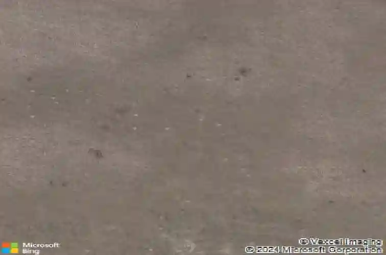 8567 cr 635, bushnell,  FL 33513