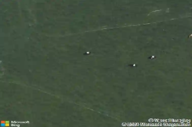 holmans road, mt vernon,  IA 52314