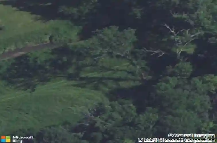 state st, ely,  IA 52227