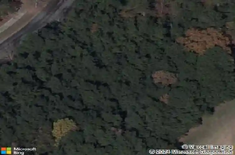 518 doko ct, blythewood,  SC 29016