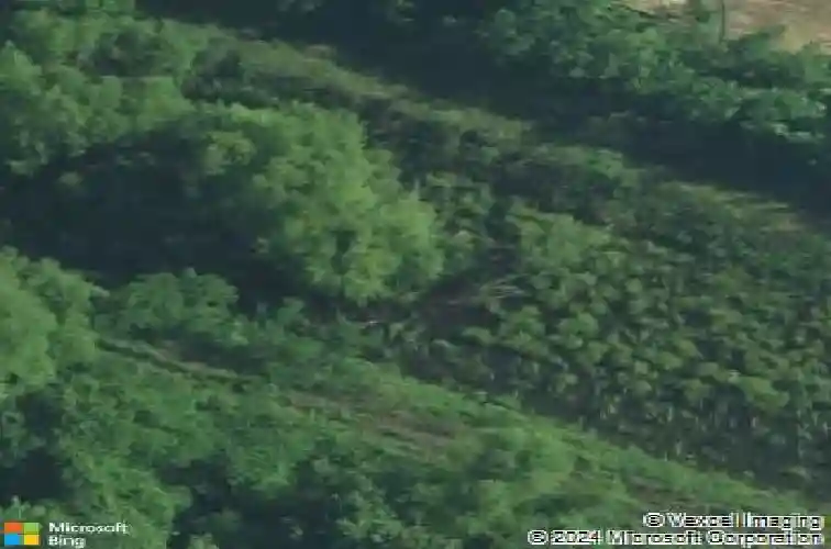 superior street, columbia,  SC 29205