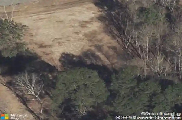  new caney,  TX 77357