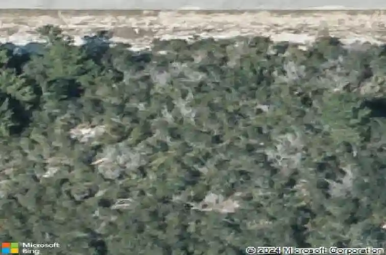  kissimmee,  FL 34759