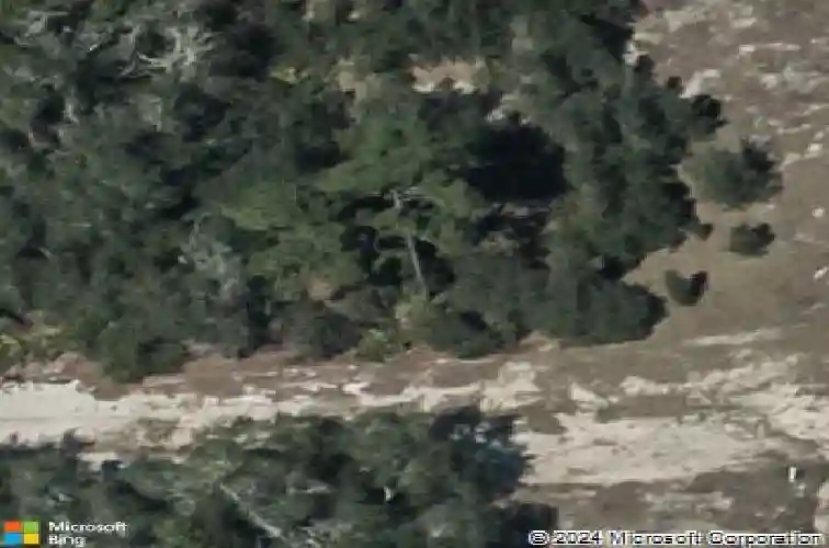  kissimmee,  FL 34759
