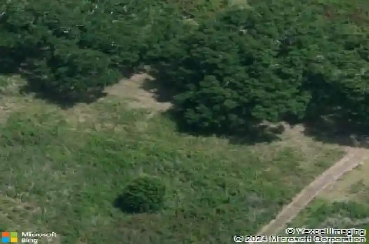 dudley road, erath,  LA 70533