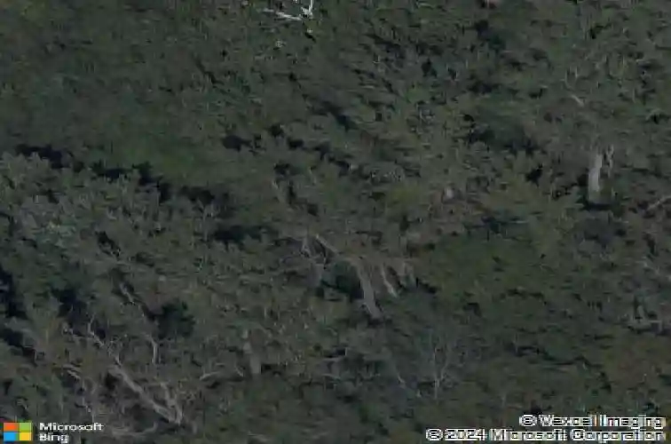 1209 vermont ave, kansas city,  KS 66102