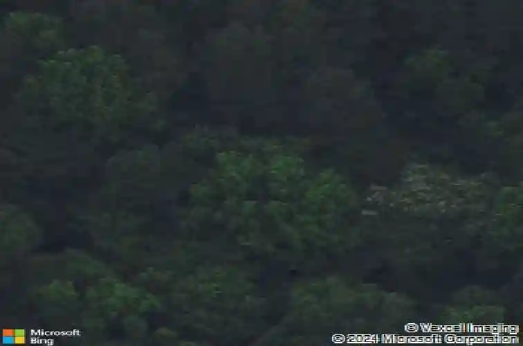 bluff road, columbia,  SC 29209