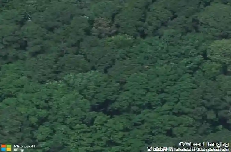 946 kay st, columbia,  SC 29210