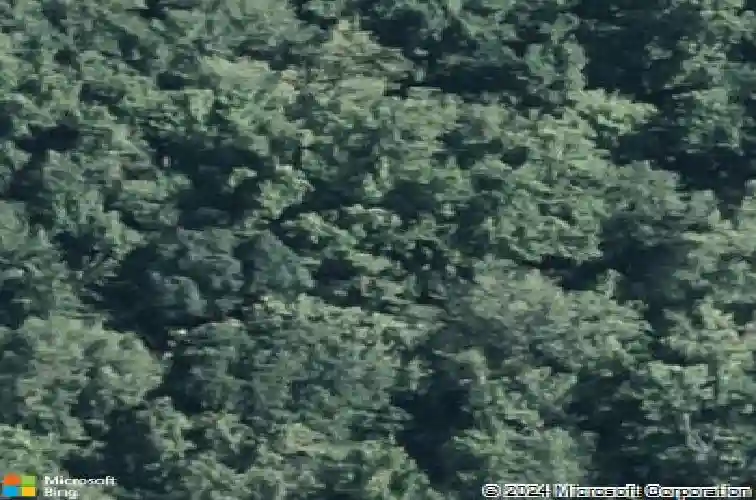 rockland, reading,  PA 19608