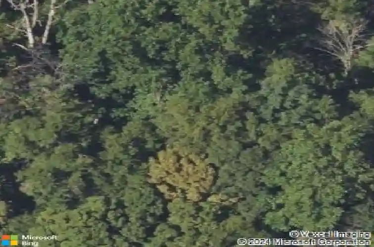 rte 73, boyertown,  PA 19512