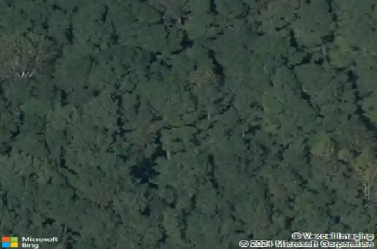 3119 white pine ct, wake forest,  NC 27587