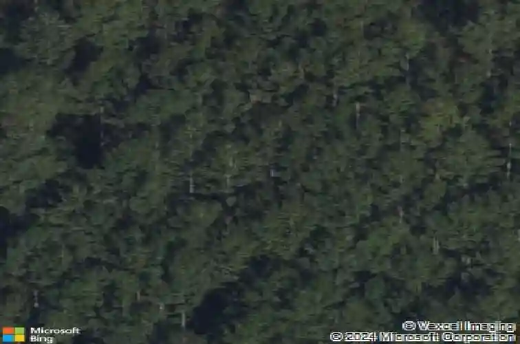 goshen road, rincon,  GA 31326