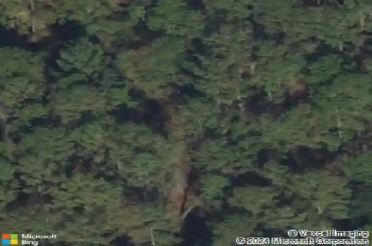 323 edgewood rd, guyton,  GA 31312